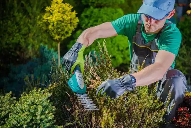 landscaping services Taylor Mill